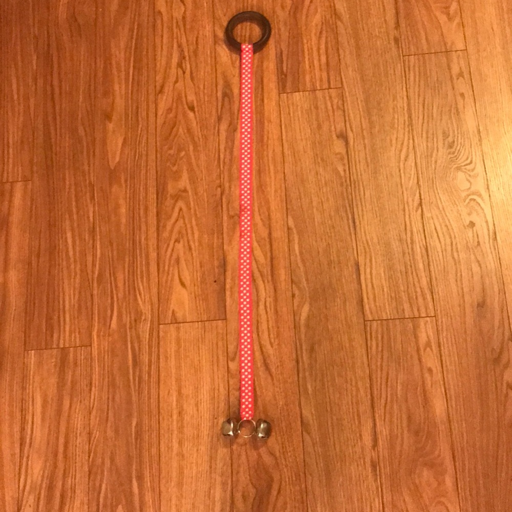 My dogs doesn’t use it anymore